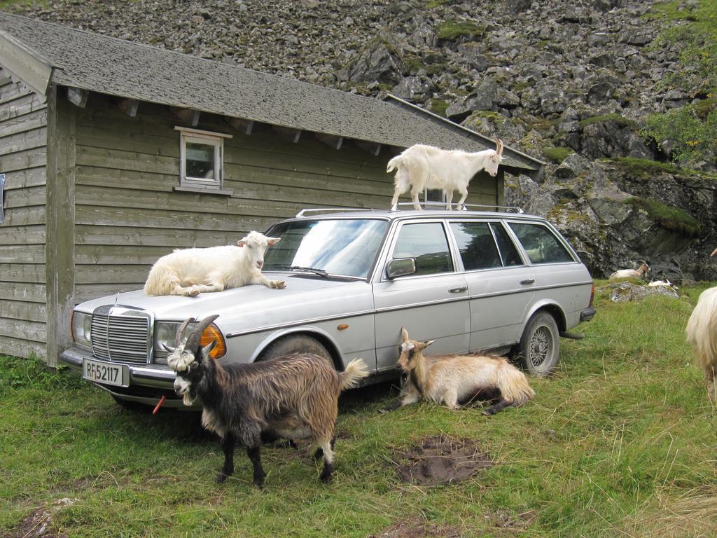 Steinsholen Holiday Home Flåm Zewnętrze zdjęcie